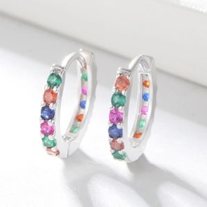 925 Sterling Silver Platinum Plated Hoop Earrings